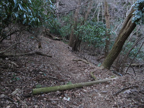 20160128hike (401)
